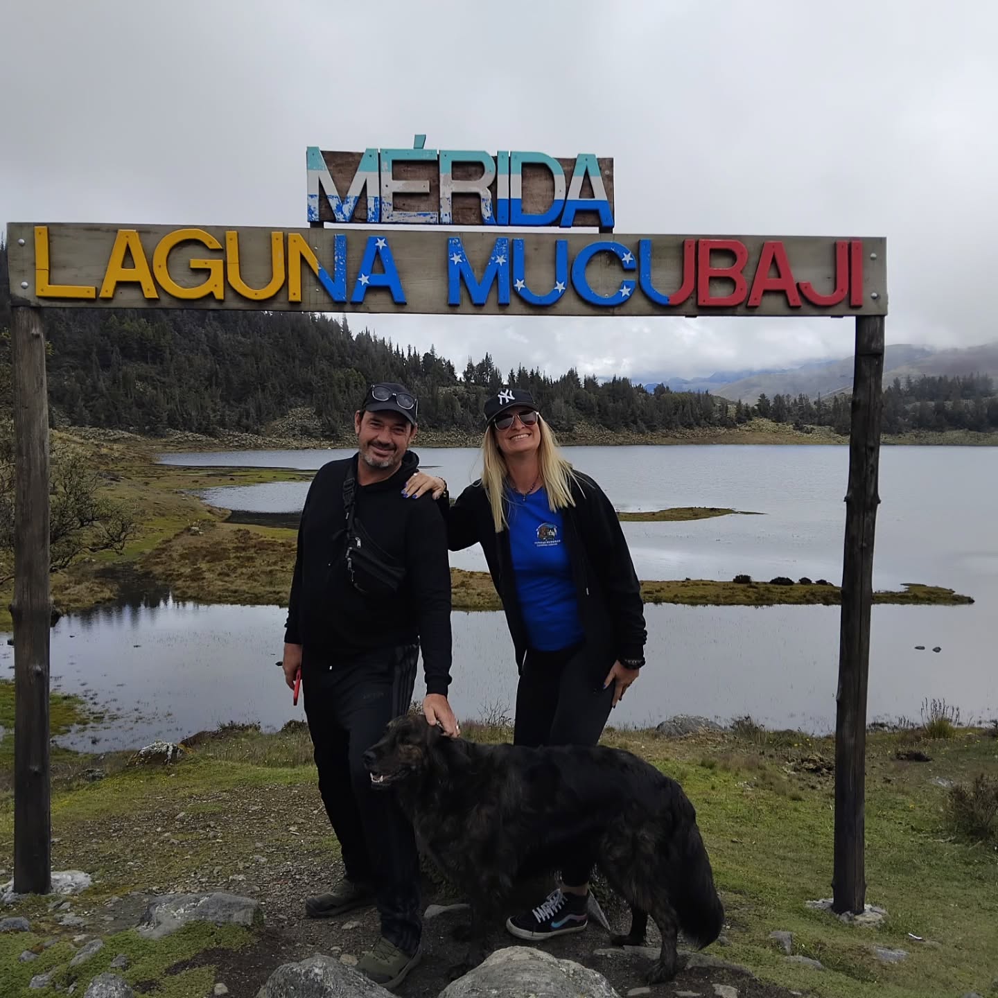 Patitas Ruteras: un viaje de amor, ruta y esperanza