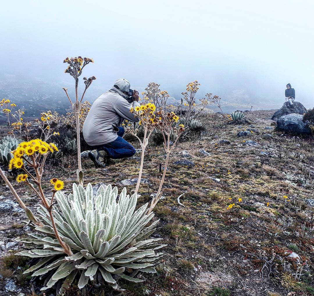 La inmensa vida que habita Venezuela; un país megadiverso