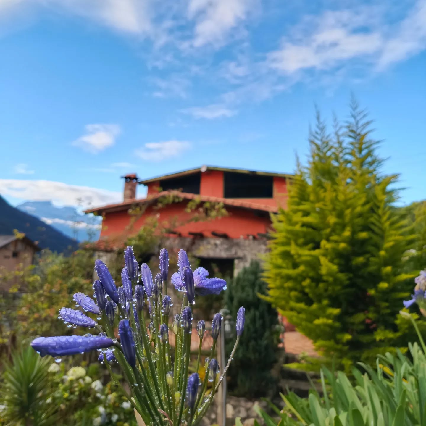 CABAÑAS LAS NUBES DE LA CULATA