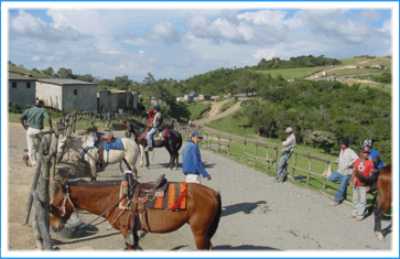 CÁMARA DE TURISMO DE JIMÉNEZ