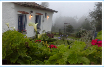 CABAÑAS EL VALLE DE LA NEBLINA