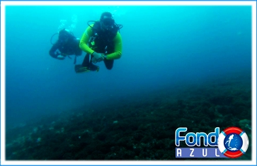 FONDO AZUL BUCEO ECUADOR