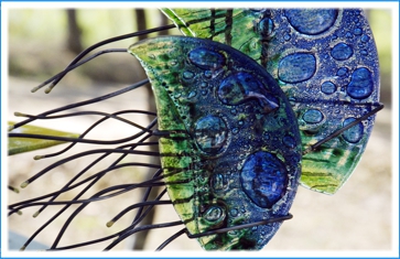 INDIGO GLASS ART