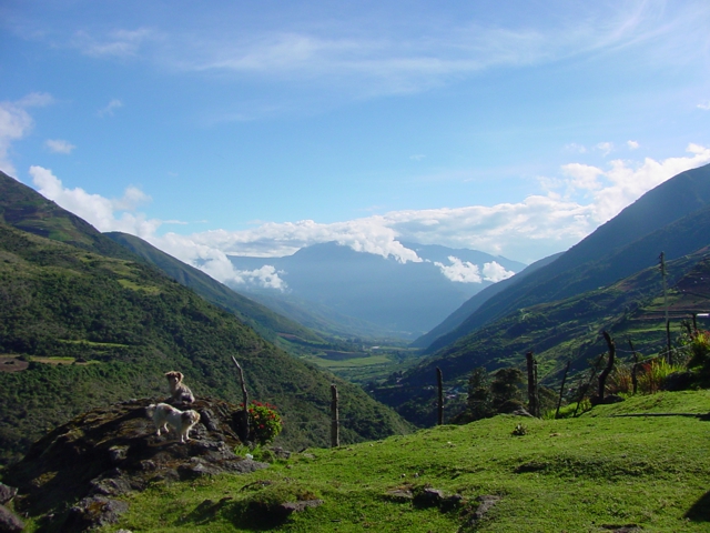 EL TURISMO EN VENEZUELA EL TURISMO EN VENEZUELA